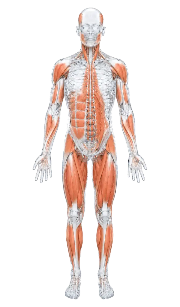 Medicina del Dolor