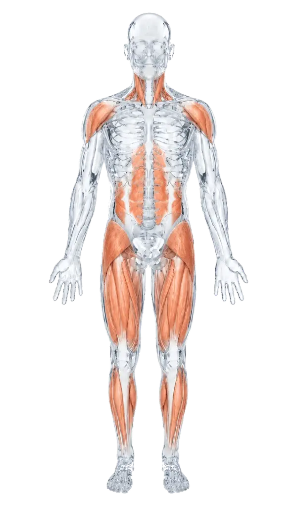 Fisioterapia