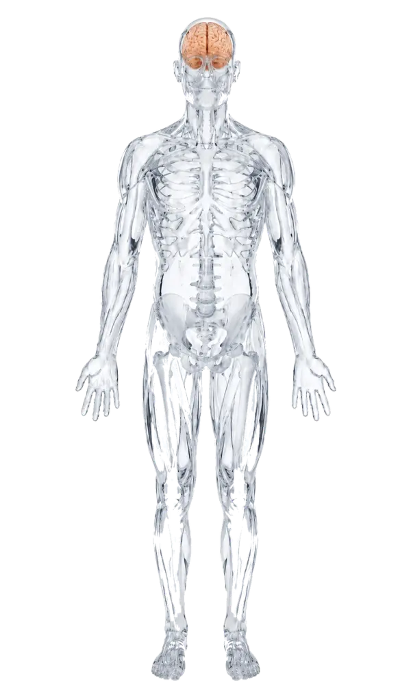 Neurología